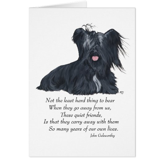 Skye Terrier Memory Cards (Front)