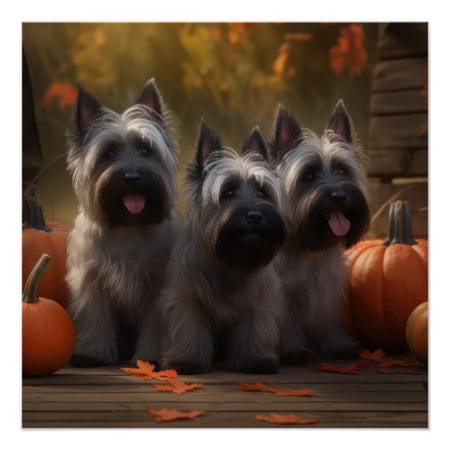 Skye Terrier Puppy Autumn Delight Pumpkin  Poster (Front)