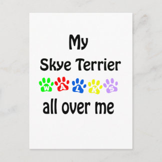 Skye Terrier Walks Design Postcard