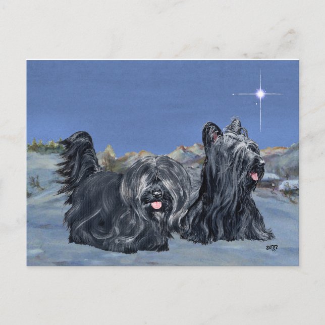 SKYE Terriers on a Winter Evening Postcard (Front)