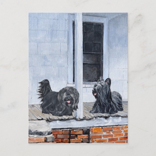 Skye Terriers wait on the Porch Postcard (Front)