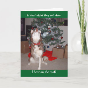 Skye's Merry Christmas Holiday Card