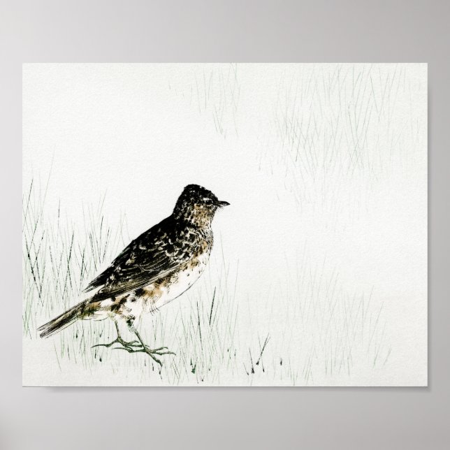 Skylark Bird, Watanabe Seitei Poster (Front)