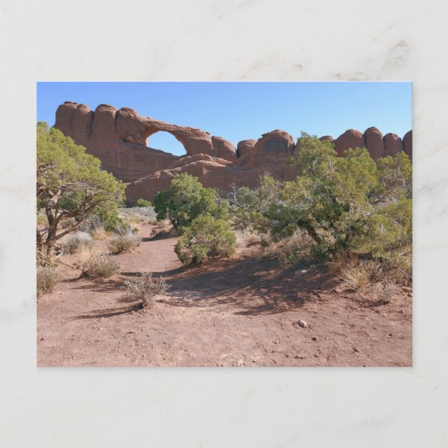 Skyline Arch at Arches National Park Postcard (Front)