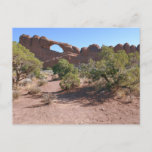 Skyline Arch Postcard