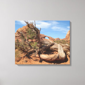 Skyline Arch, Utah Canvas Print