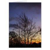 Skyscapes #001 Card (Front)