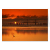 Skyway Bridge (Front Horizontal)
