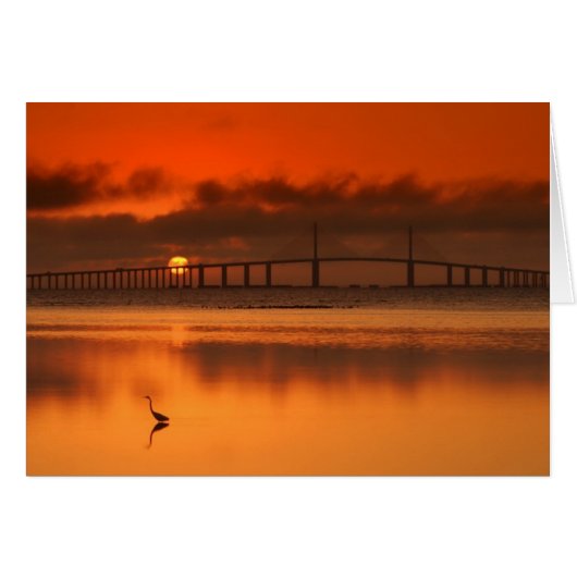 Skyway Bridge Cards (Front Horizontal)