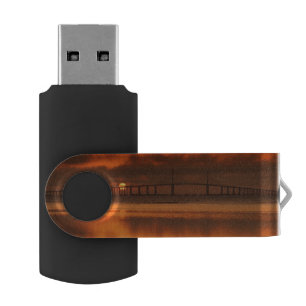 Skyway Bridge USB Flash Drive