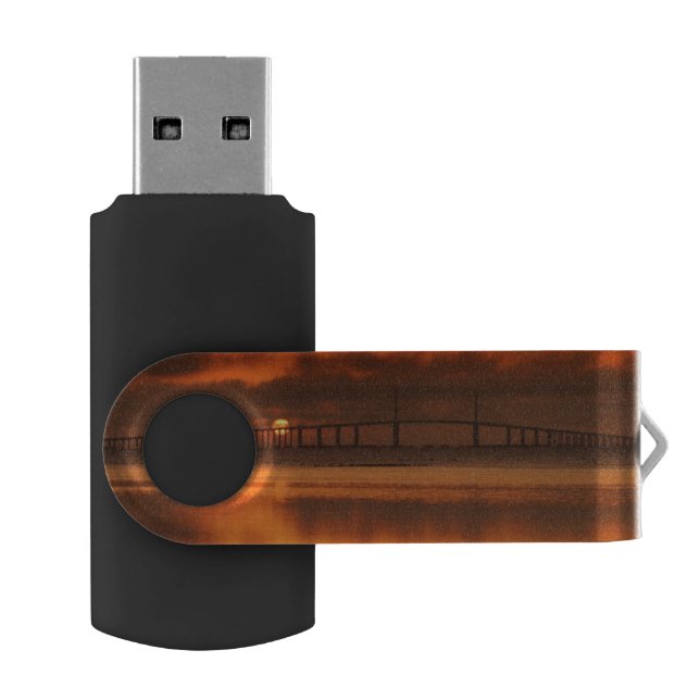 Skyway Bridge USB Flash Drive (Opened)