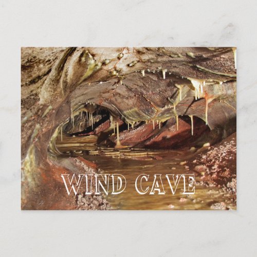 Skyway Lake Wind Cave National Park Postcard