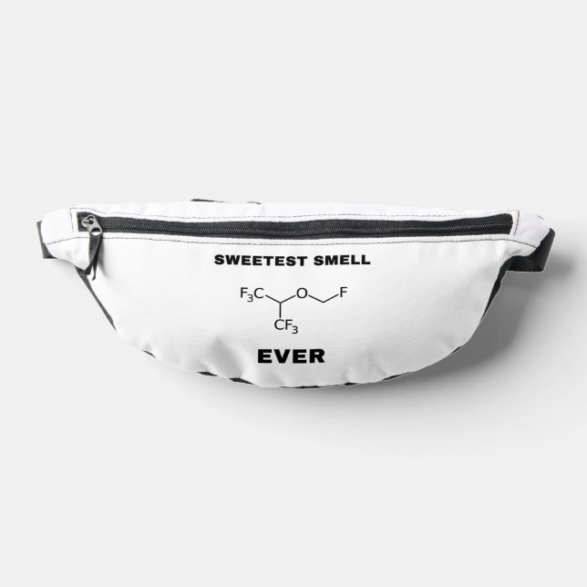 slacksarkisc fanny pack (Lay Down)