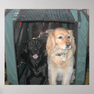 Slate and Sasha Poster