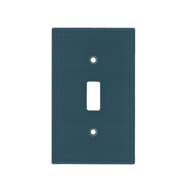 Slate Blue Light Switch Cover (Front)
