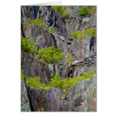 Slate cliff with trees (Front)