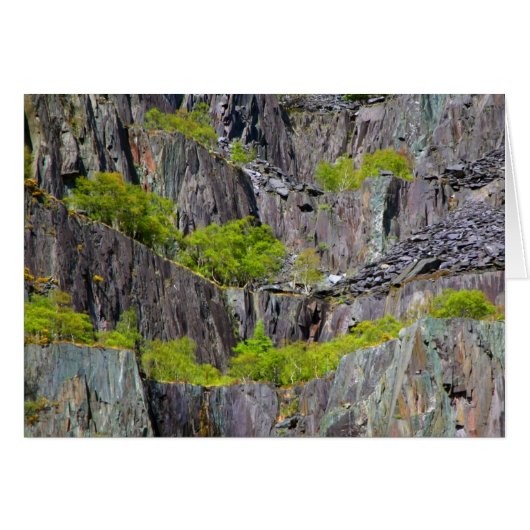 Slate cliff with trees (Front Horizontal)