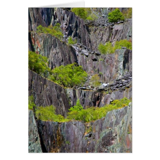Slate cliff with trees cards (Front)