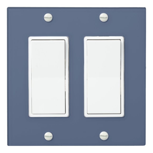 Slate Color Light Switch Cover (In Situ)