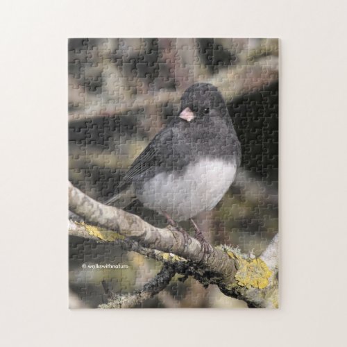 Slate_Colored Dark_Eyed Junco on the Pear Tree Jigsaw Puzzle