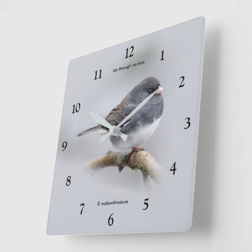 Slate_Colored Dark_Eyed Junco on the Pear Tree Square Wall Clock