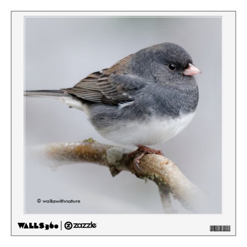 Slate_Colored Dark_Eyed Junco on the Pear Tree Wall Decal