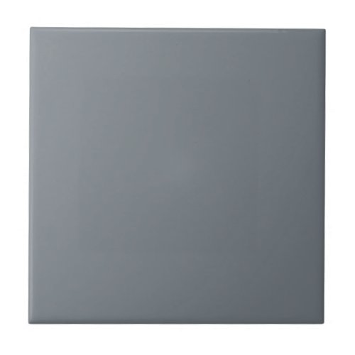 Slate Downing Gray Square Kitchen and Bathroom Ceramic Tile