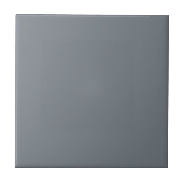 Slate Downing Gray Square Kitchen and Bathroom Ceramic Tile (Front)