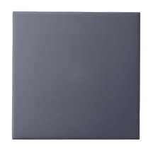 Slate Gray Color Solid Color | #56586c