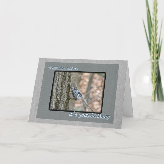 Slate Gray Nuthatch Birthday Songbird Card (Front)