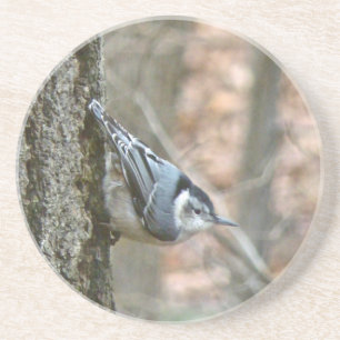 Slate Gray Nuthatch Songbird Drink Coaster