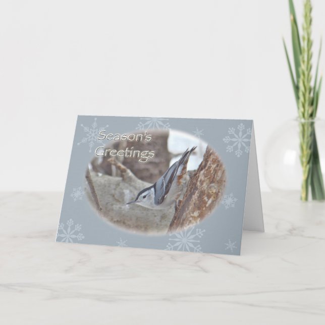 Slate Gray Nuthatch Songbird Seasons Greeting Card (Front)