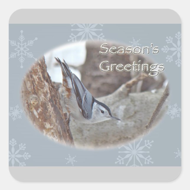 Slate Gray Nuthatch Songbird Seasons Greetings Square Sticker (Front)