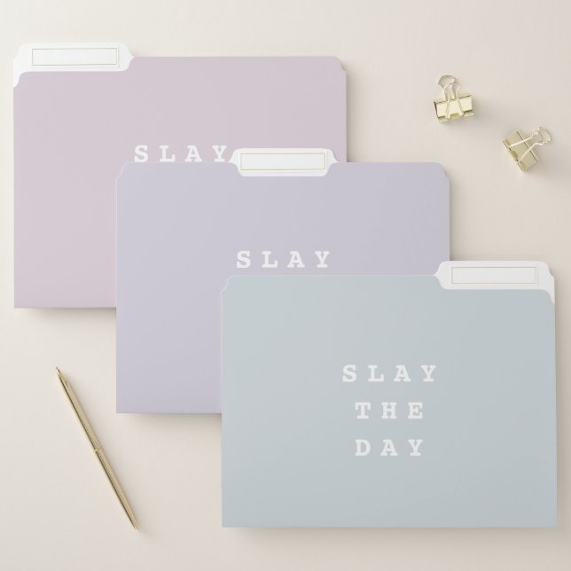 Slay The Day | Funny Quote Faded Pastel File Folder (Set)