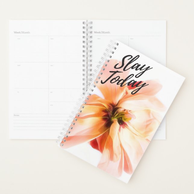 Slay Today Monthly Planner (Display)