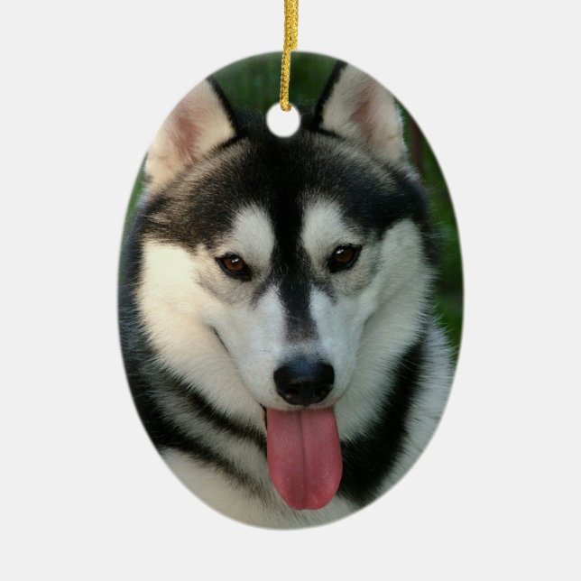 Sled Dog Ornament (Front)