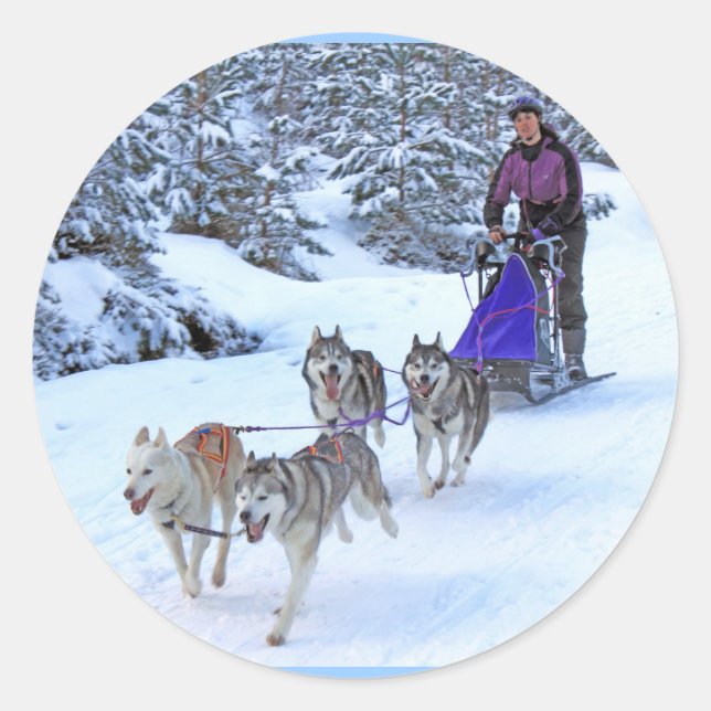 Sled Dog Racing Classic Round Sticker (Front)