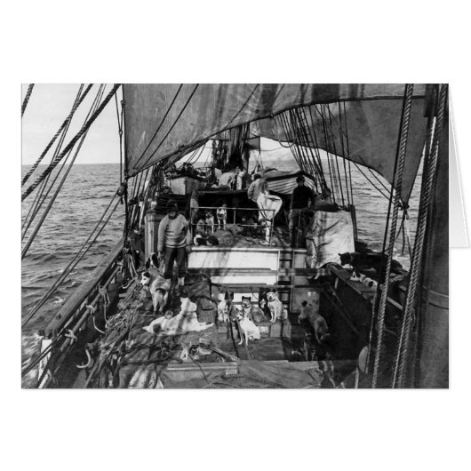 Sled Dogs at Sea (Front Horizontal)