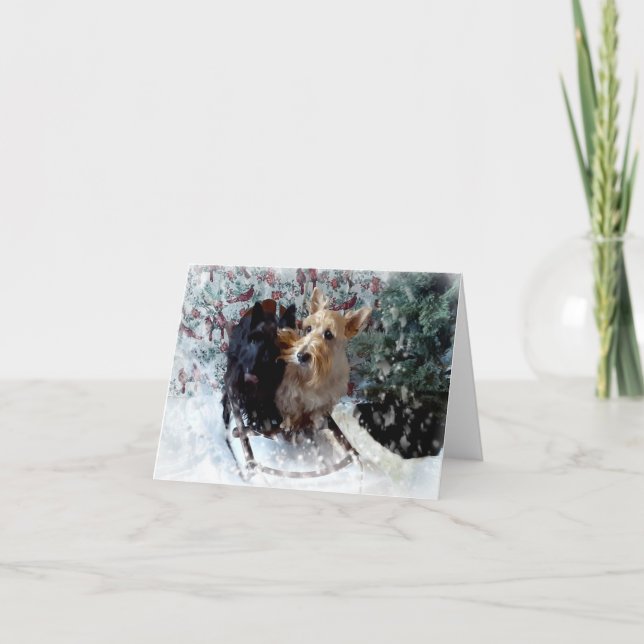 Sled Dogs Card (Front)