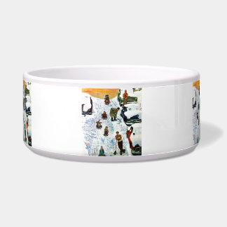 Sledding and Digging Out Bowl