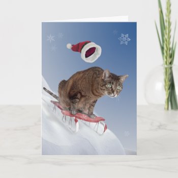 Sledding Cat Christmas Card by lamessegee at Zazzle