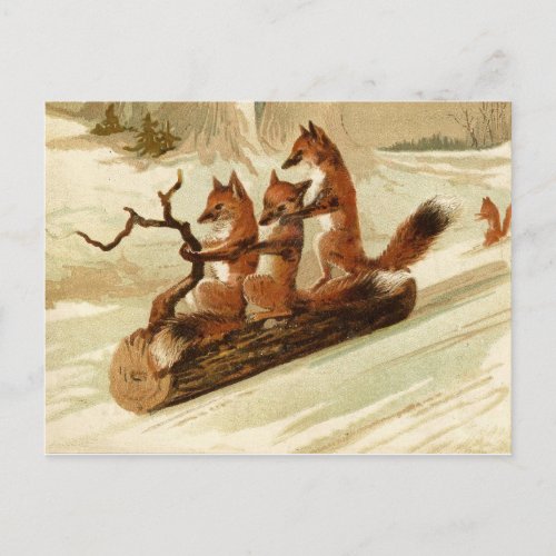 Sledding Foxes Vintage Christmas Postcard