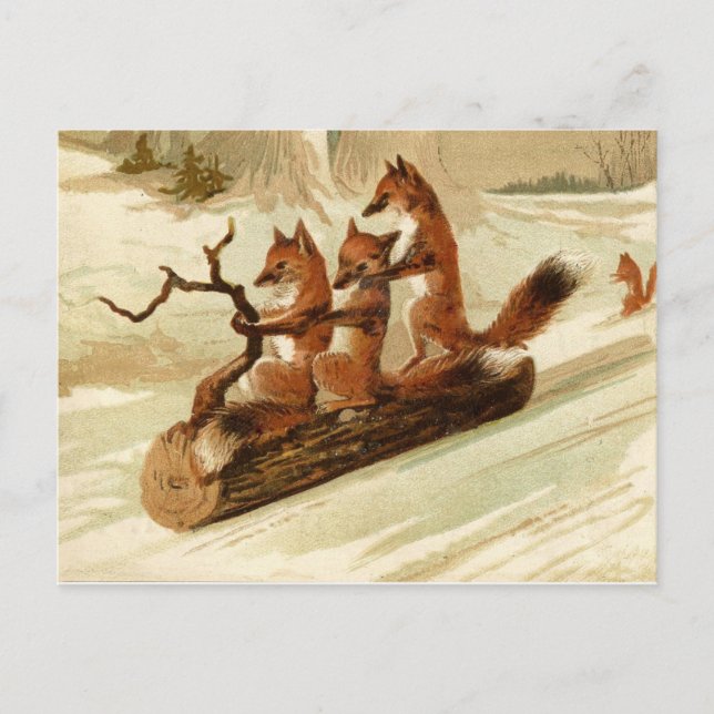 Sledding Foxes Vintage Christmas Postcard (Front)