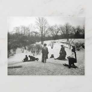 Sledding in Central Park, 1906 Postcard