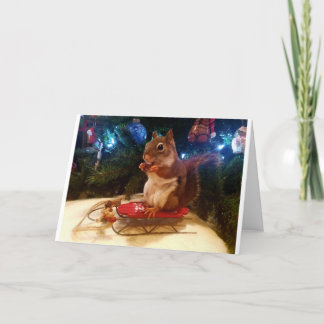 Sledding Squirrel Holiday Card