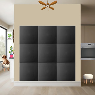 Sleek Black Ceramic Tile Stylish Custom Home