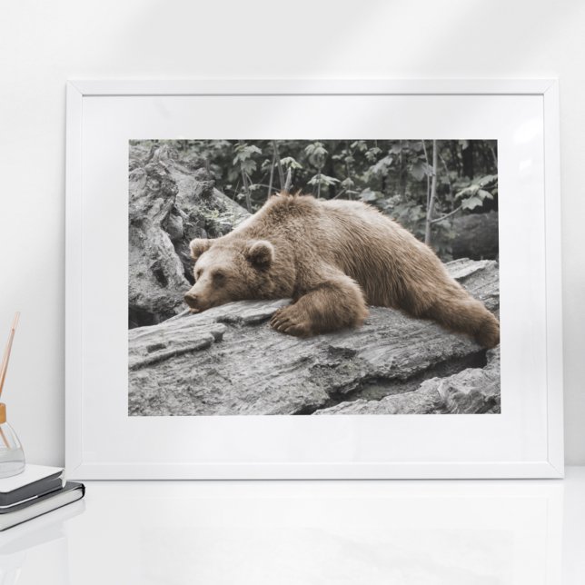 Sleep Bear on Log Rustic Cabin Poster (Creator Uploaded)
