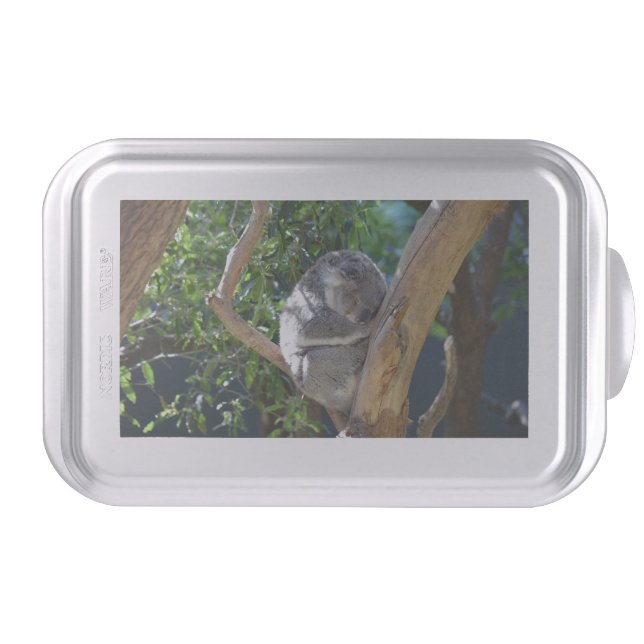 Sleep Koala Cake Pan (Front)