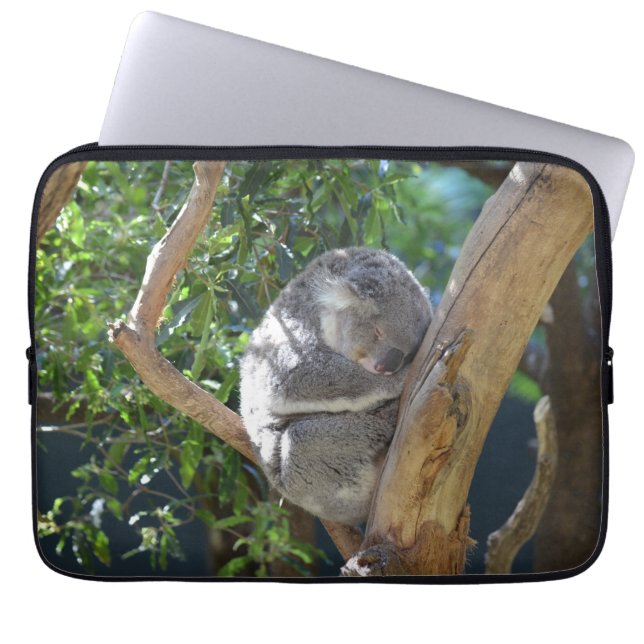Sleep Koala Laptop Sleeve (Front)