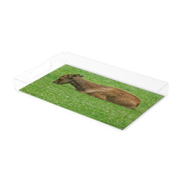 Sleep Little One Acrylic Tray